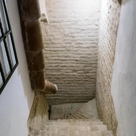 Historic House In The Center * Sevilla